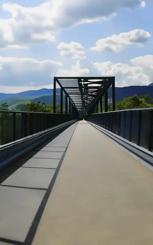 A long bridge extending to the woods