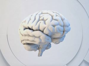 Keeping Your Brain Healthy