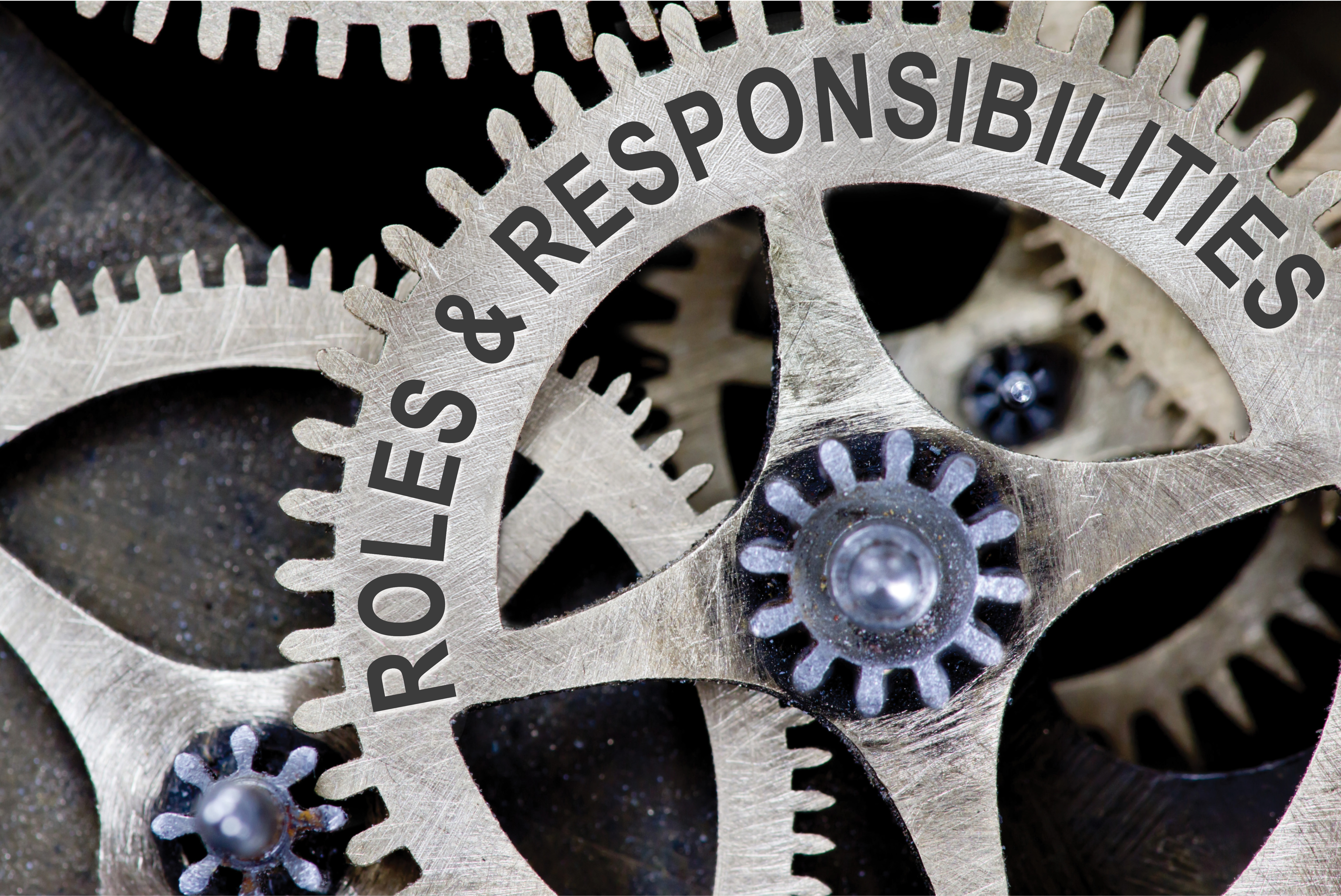 Advisory Council Roles & Responsibilities